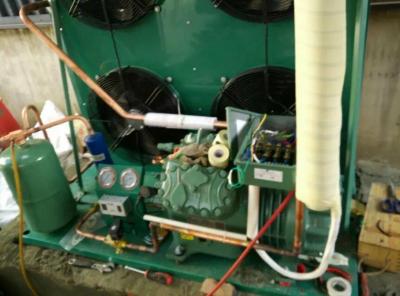 雙流黃甲成都蜀祥食品廠冷凍庫